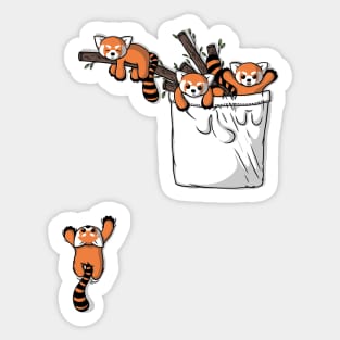 Pocket Red Panda Bears Sticker